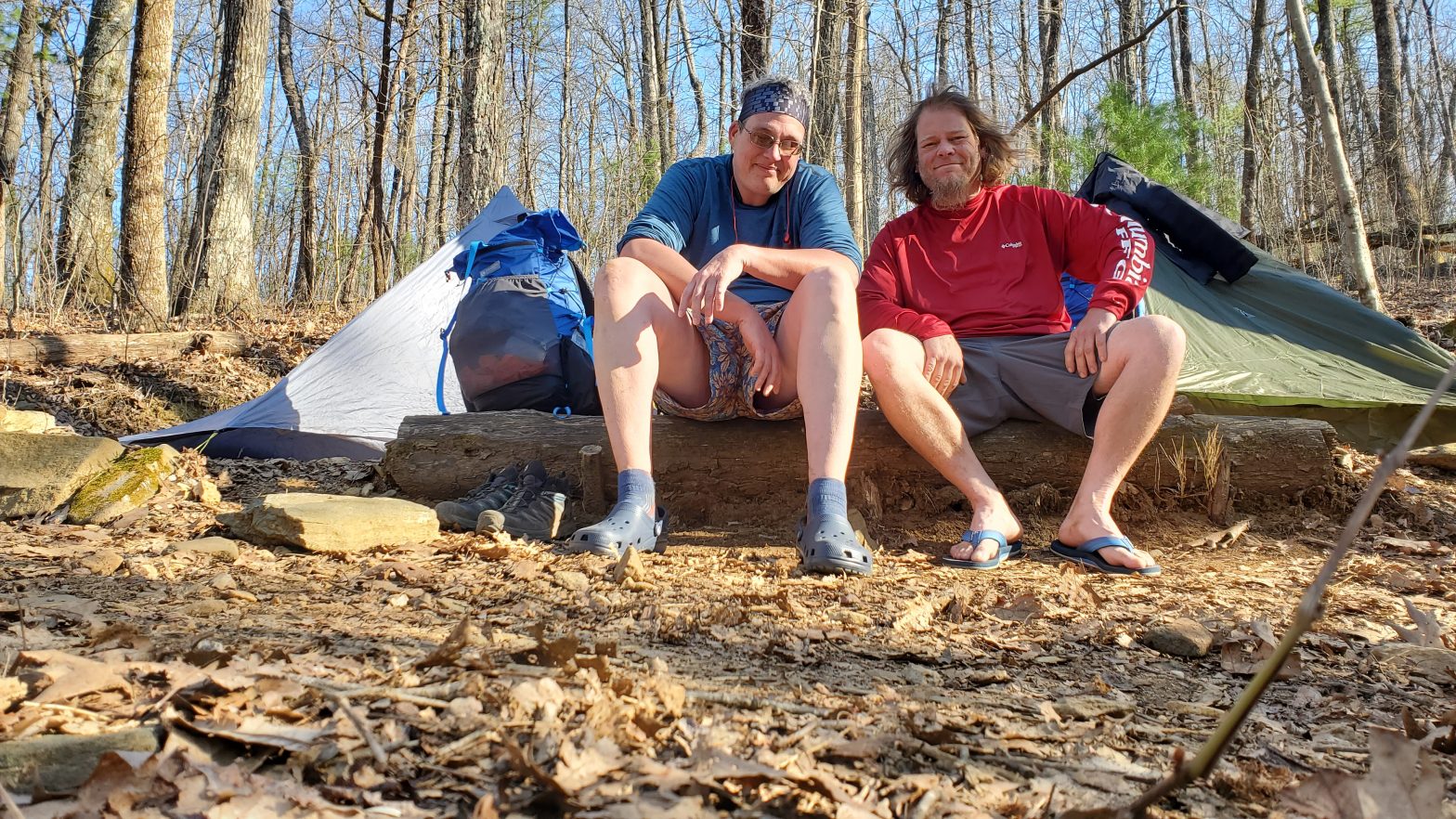 AMICALOLA > SPRINGER MTN > HAWK MTN CAMPSITES