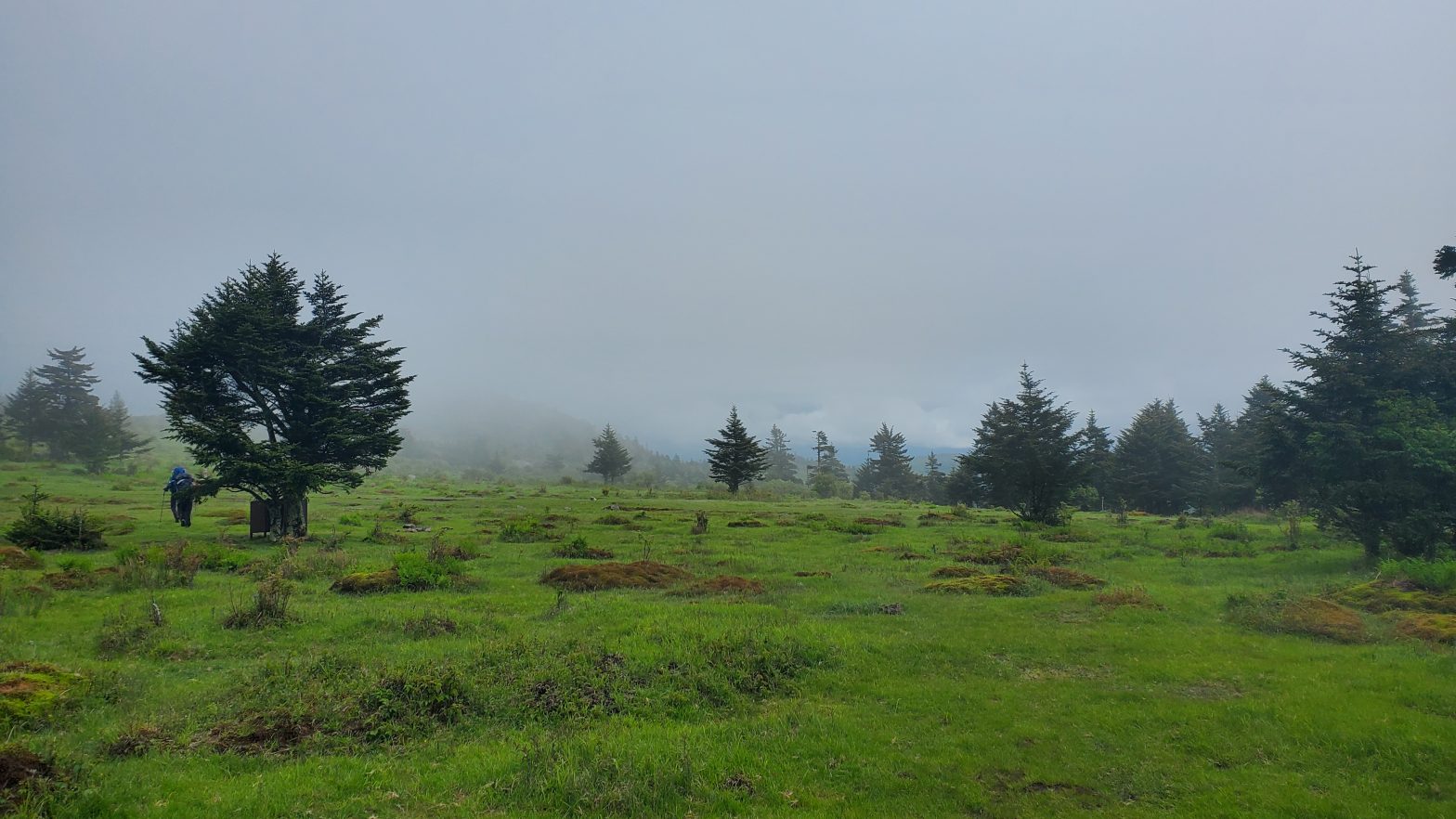 MT. ROGERS & THE GRAYSON HIGHLANDS